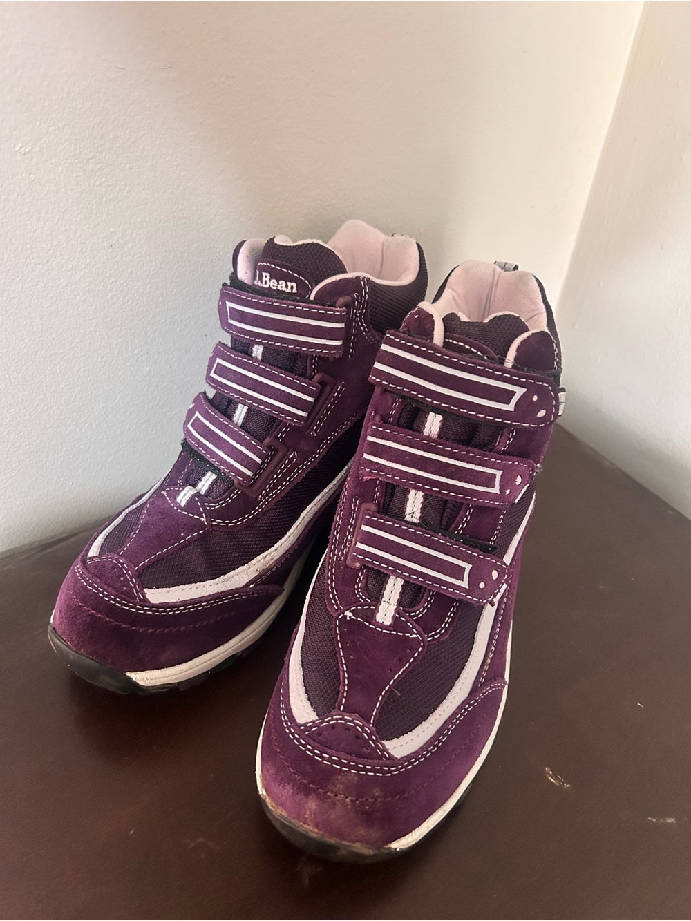 L.L Bean Tek 2.5 Waterproof Snow Hiking Shoes. Waterproof Primaloft insulated